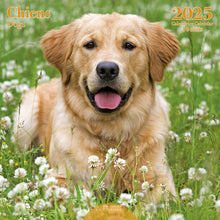Carregar imagem no visualizador da galeria, Calendários 2026