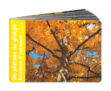 Carregar imagem no visualizador da galeria, Du platane au ginkgo: Histoire d’automne