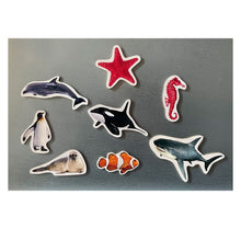 Carregar imagem no visualizador da galeria, Magnéticos, animais marinhos - No Word Books