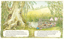Carregar imagem no visualizador da galeria, Brambly Hedge: Summer Story