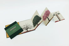 Carregar imagem no visualizador da galeria, As Árvores não têm pernas para andar