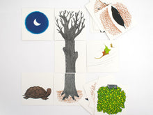 Carregar imagem no visualizador da galeria, Transformations