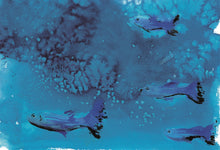 Carregar imagem no visualizador da galeria, La Caja de Colores