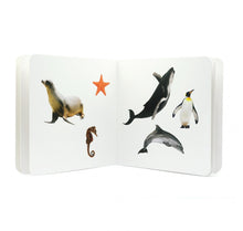Carregar imagem no visualizador da galeria, Animales Marinos 2 - No Word Books
