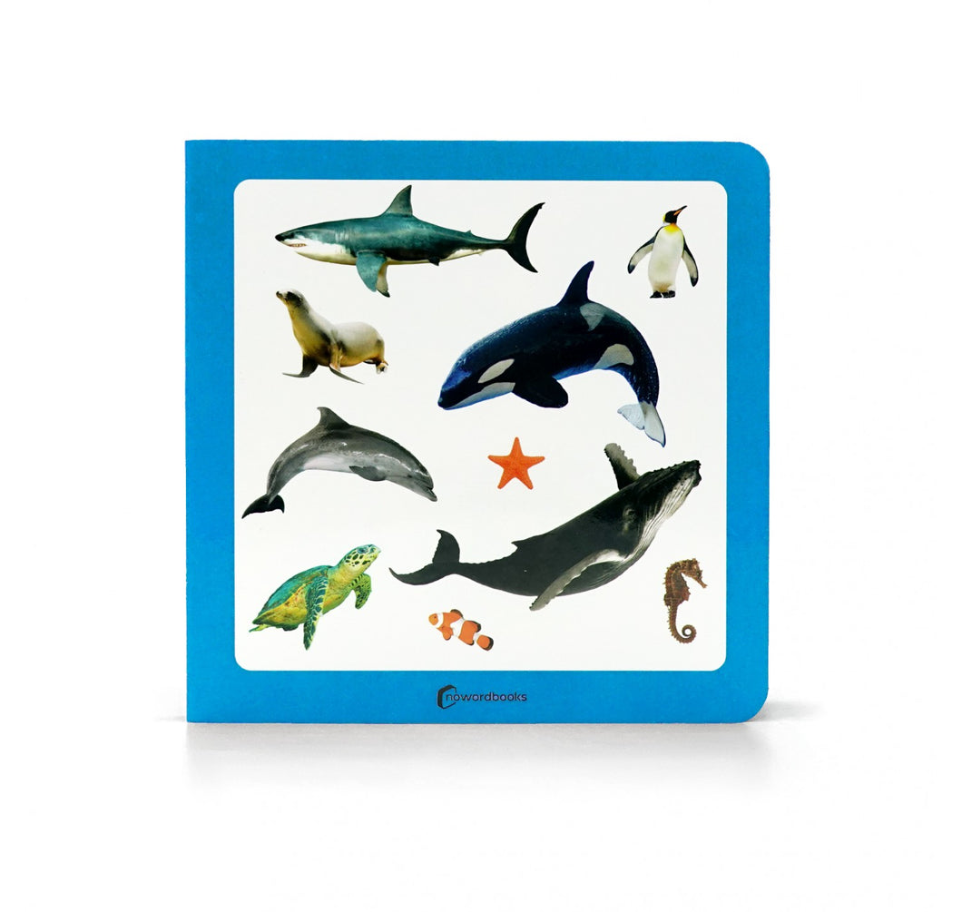 Animales Marinos 2 - No Word Books