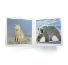 Carregar imagem no visualizador da galeria, Animales Polares - No Word Books

