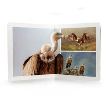 Carregar imagem no visualizador da galeria, Aves. Formato grande - No Word Books
