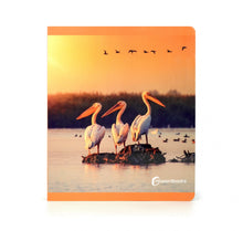 Carregar imagem no visualizador da galeria, Aves. Formato grande - No Word Books

