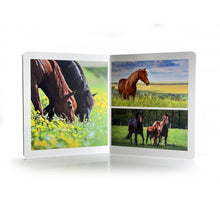 Carregar imagem no visualizador da galeria, Los Animales de Granja. Formato grande - No Word Books
