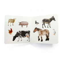 Carregar imagem no visualizador da galeria, Los Animales de la Granja 2 - No Word Books
