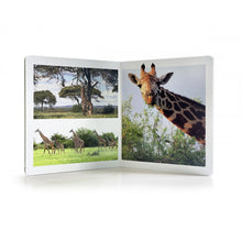 Carregar imagem no visualizador da galeria, Los Animales de la Sabana. Formato grande - No Word Books
