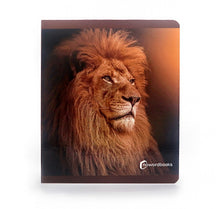 Carregar imagem no visualizador da galeria, Los Animales de la Sabana. Formato grande - No Word Books
