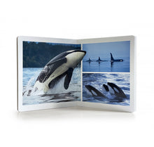 Carregar imagem no visualizador da galeria, Los Animales del Mar. Formato grande - No Word Books
