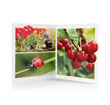 Carregar imagem no visualizador da galeria, Primavera. Formato grande - No Word Books
